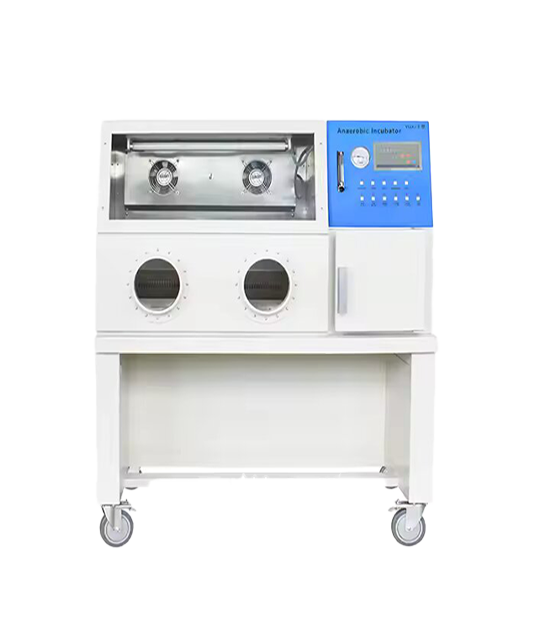 362L Desktop Anaerobic Incubator for Microbiology Labs