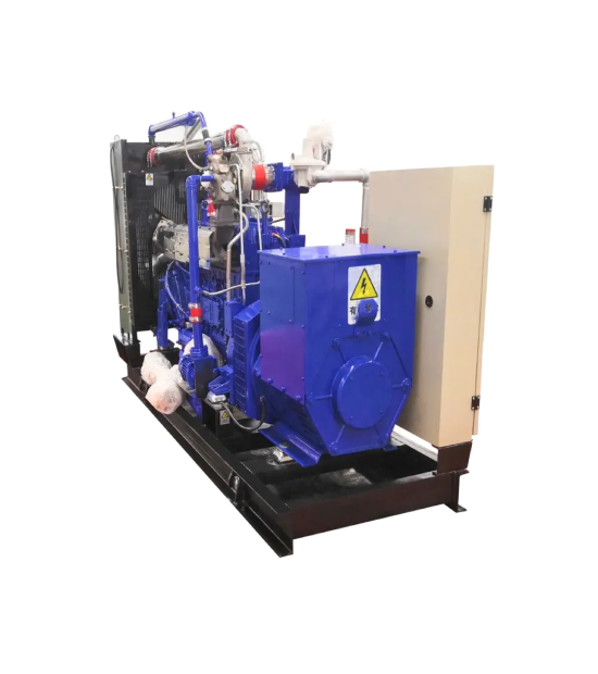 100kw 125 Kva Power Plant 3 Phase Water Cooled Biogas Generator