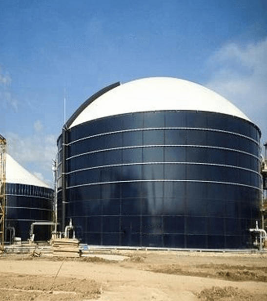 Wastes Utilization – Biogas Plant with AD technology