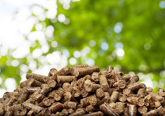 Biomass & Biofuels Solutions