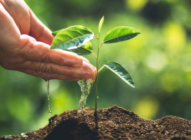 Recycling & Energy Recovery